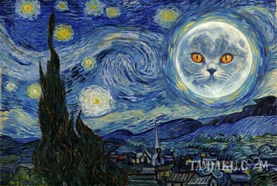 The Starry Pet example