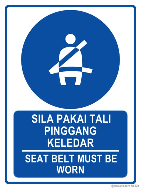 Wear Seat Belt